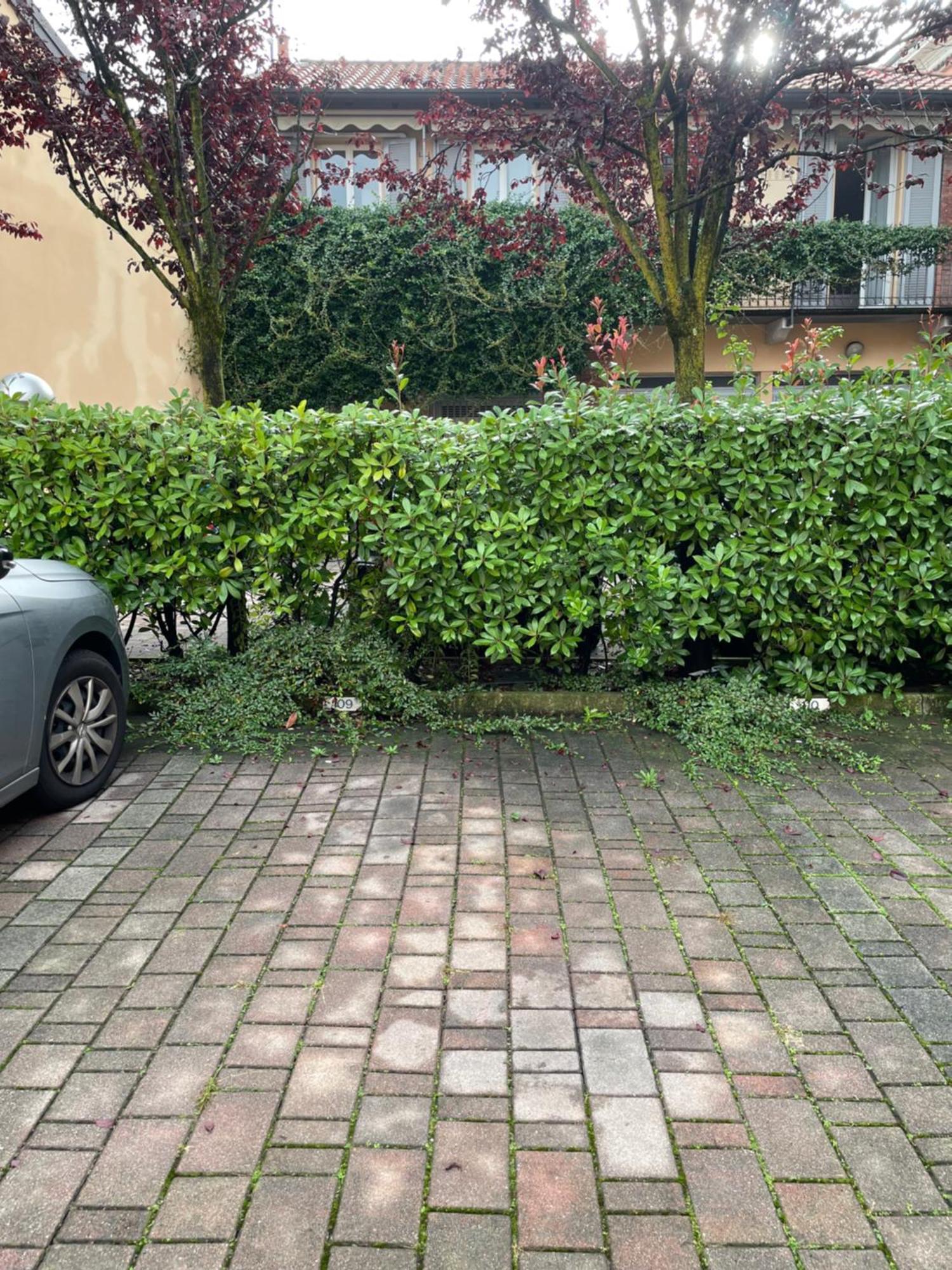 Gelsomino Appartamento Con Posto Auto Nel Centro Di Monza Kültér fotó
